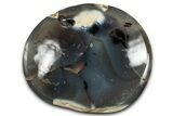 Polished Orca Agate Dish - Madagascar #339434-1